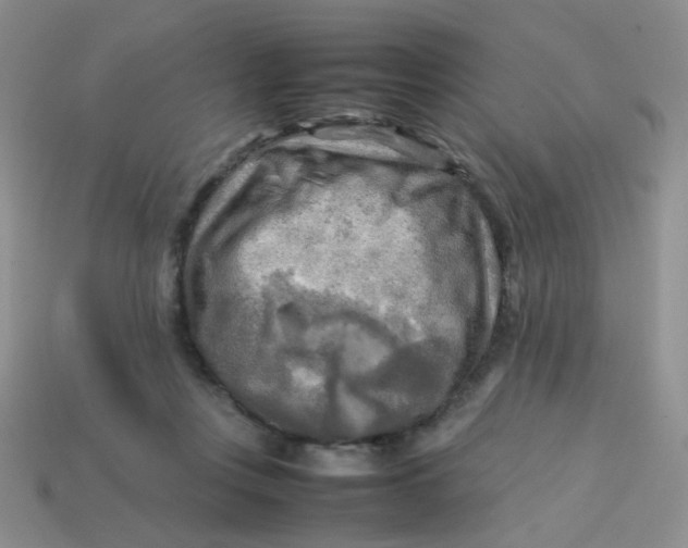 X0000113750359200910141031