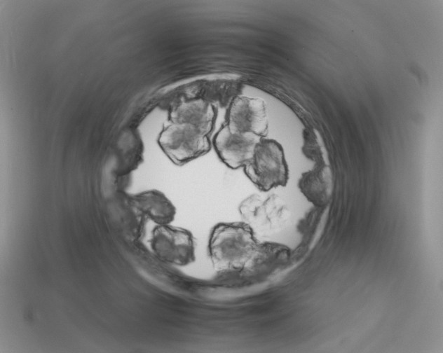 X0000113750361200910141031