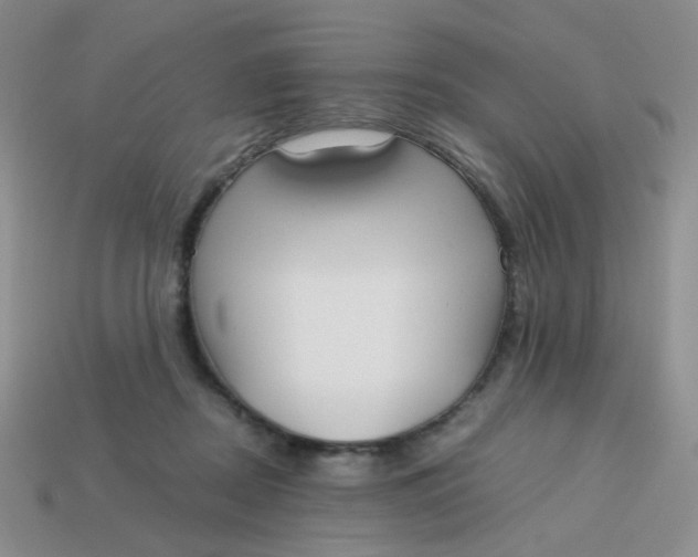 X0000113750362200910141031