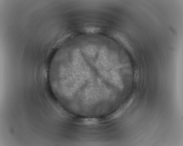 X0000113750363200910141031