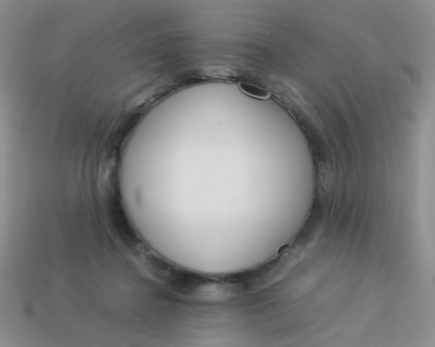 X0000113750364200910141031