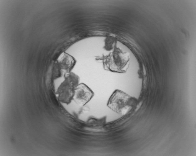 X0000113750365200910141031