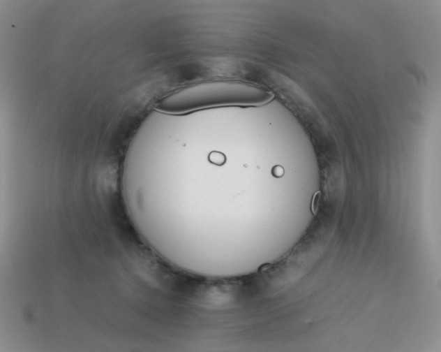 X0000113750368200910141031