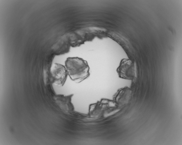 X0000113750369200910141031