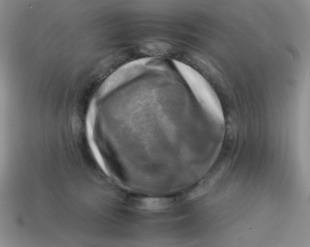 X0000113750371200910141031