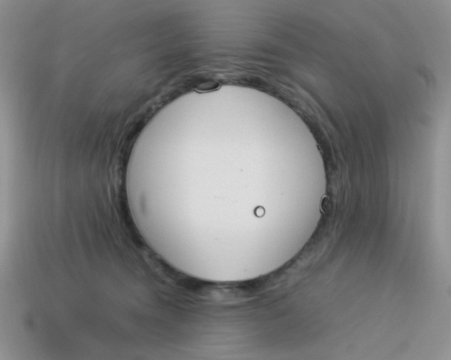 X0000113750372200910141031