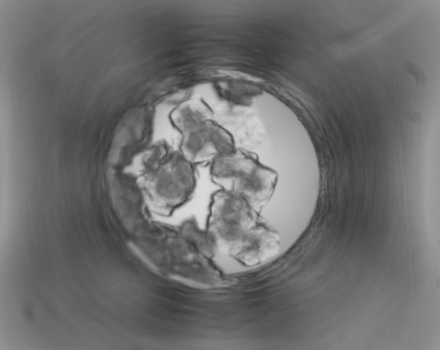 X0000113750373200910141031