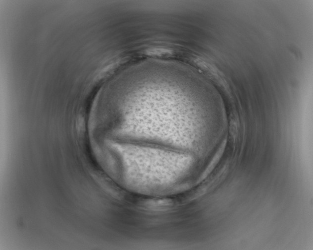 X0000113750375200910141031