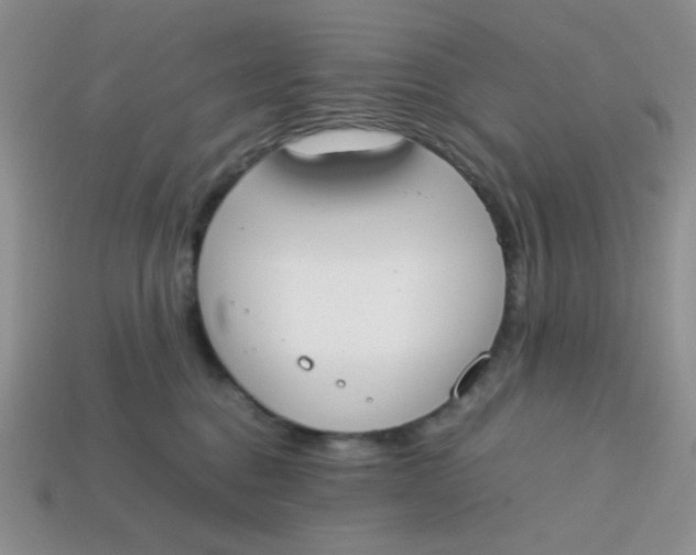 X0000113750376200910141031