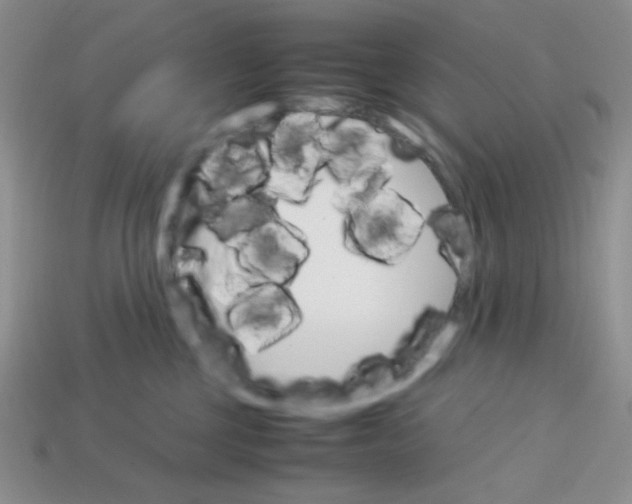 X0000113750377200910141031