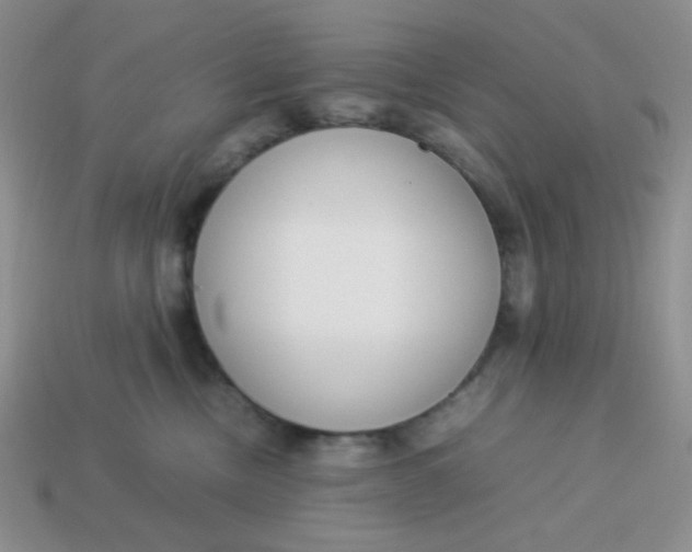 X0000113750378200910141031