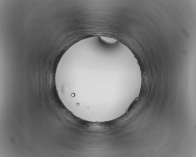 X0000113750380200910141032