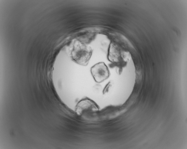 X0000113750381200910141032