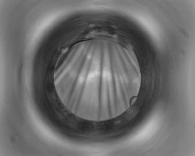 X0000113750383200910141032