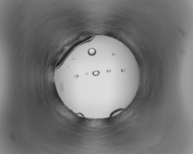 X0000113750384200910141032