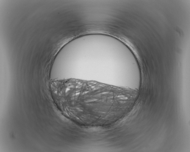 X0000113750385200910141031