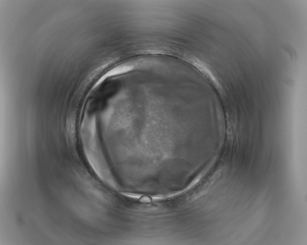 X0000113750386200910141031