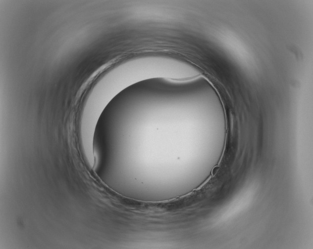 X0000113750387200910141031