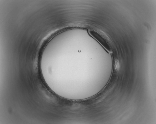 X0000113750388200910141031