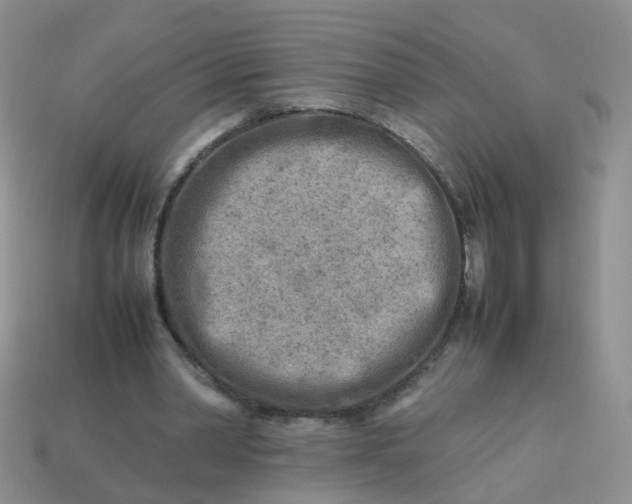 X0000113750390200910141031