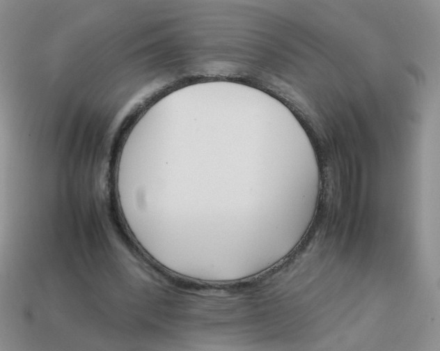 X0000113750392200910141030