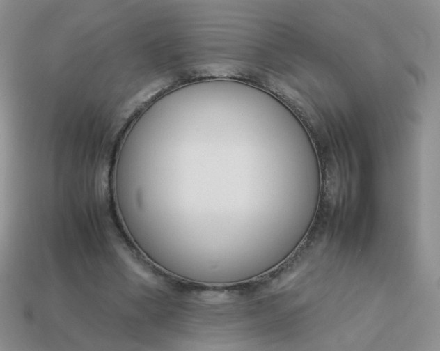 X0000113750394200910141030