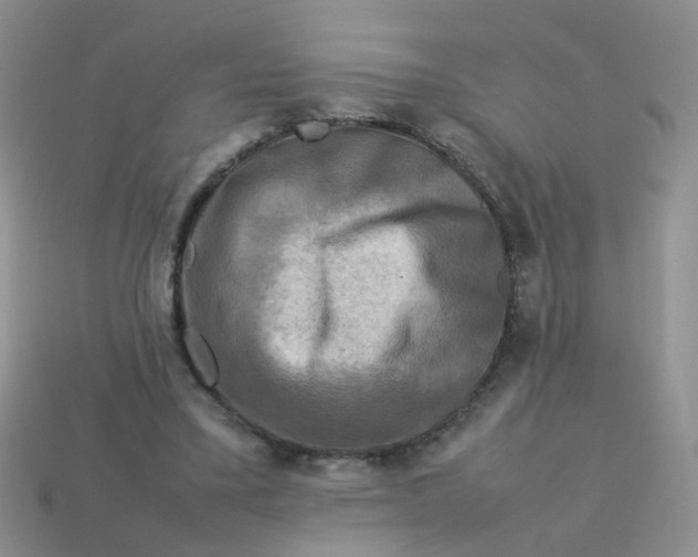 X0000113750395200910141030