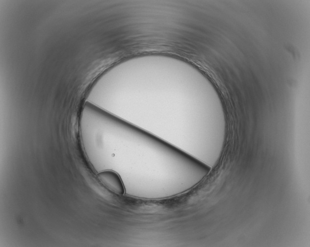 X0000113750397200910141030