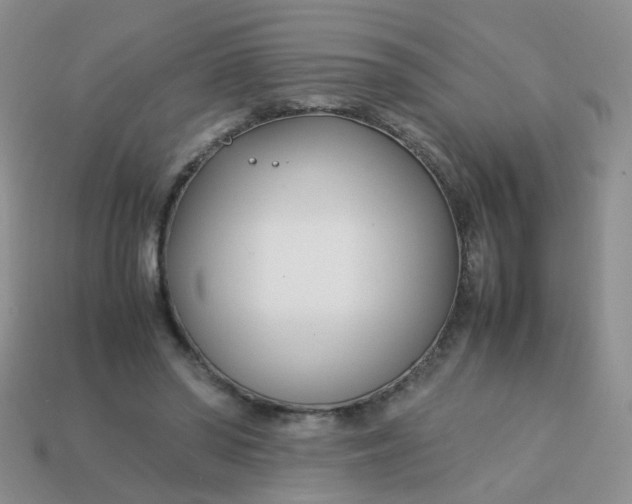 X0000113750398200910141030