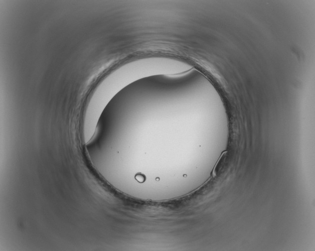 X0000113750399200910141030