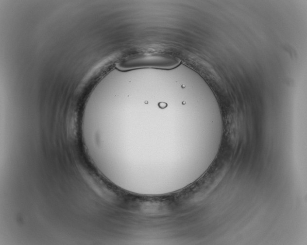 X0000113750400200910141030