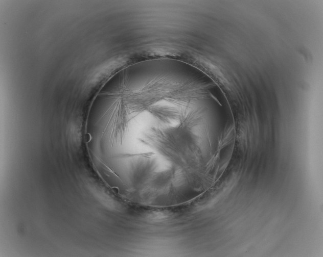 X0000113750402200910141030