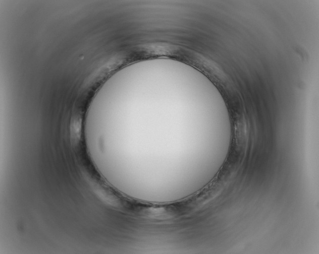 X0000113750406200910141030