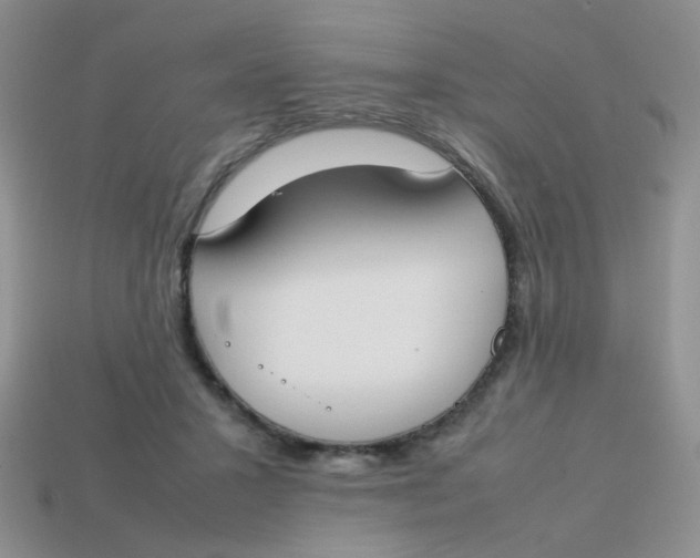 X0000113750407200910141030