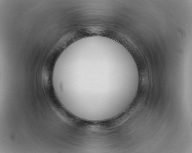 X0000113750408200910141030