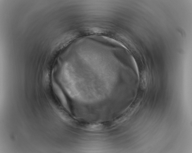 X0000113750410200910141030