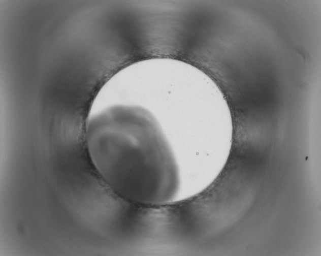 X0000113750411200910141030