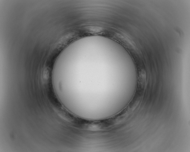 X0000113750412200910141030