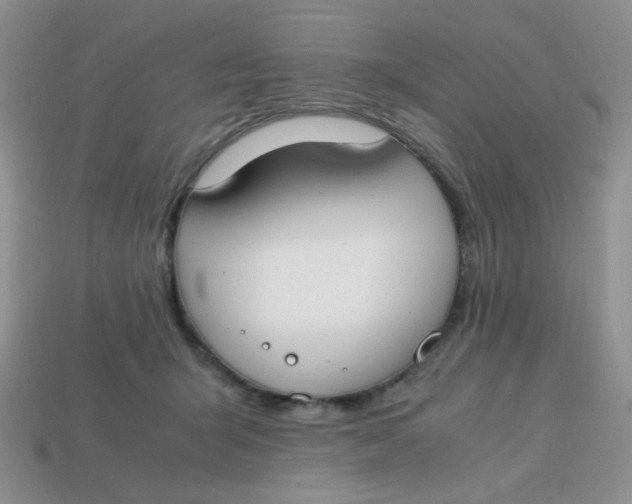 X0000113750415200910141030