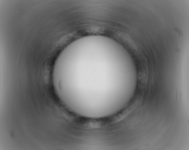 X0000113750416200910141030