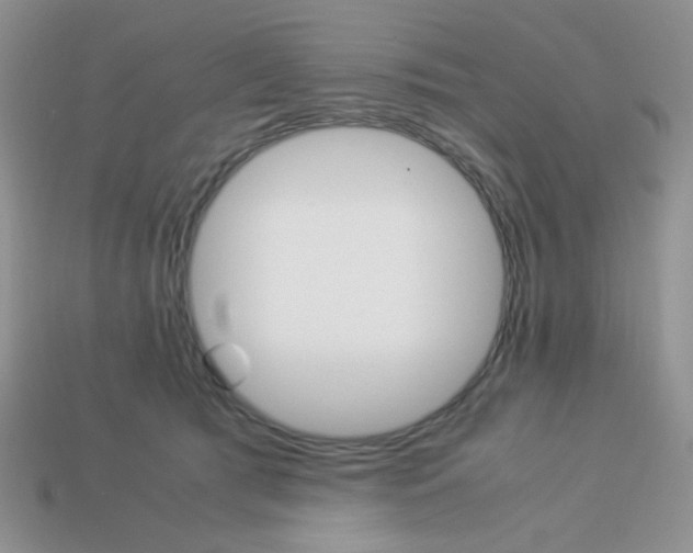 X0000113750417200910141030