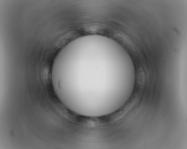 X0000113750420200910141030