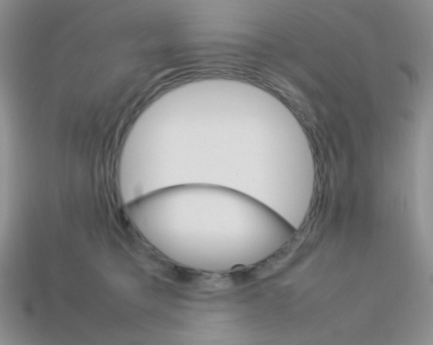 X0000113750421200910141030