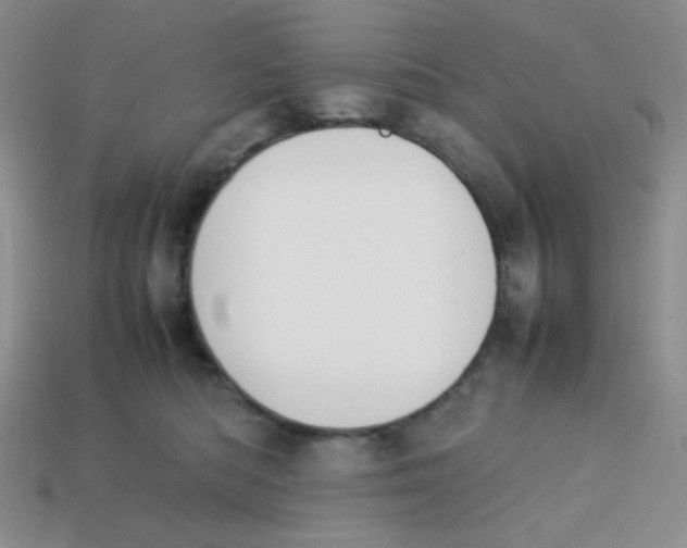 X0000113750422200910141030