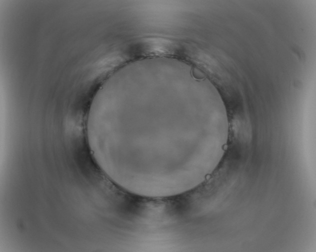 X0000113750423200910141030