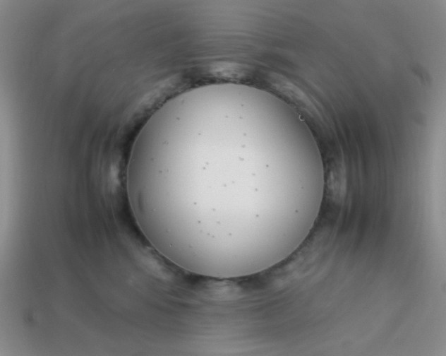 X0000113750424200910141030