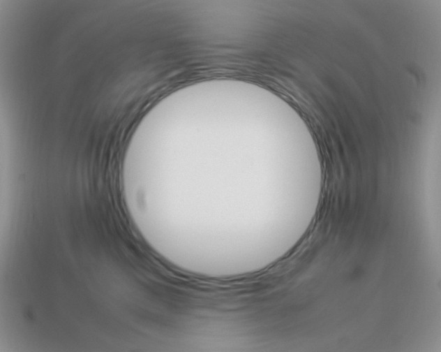 X0000113750425200910141030