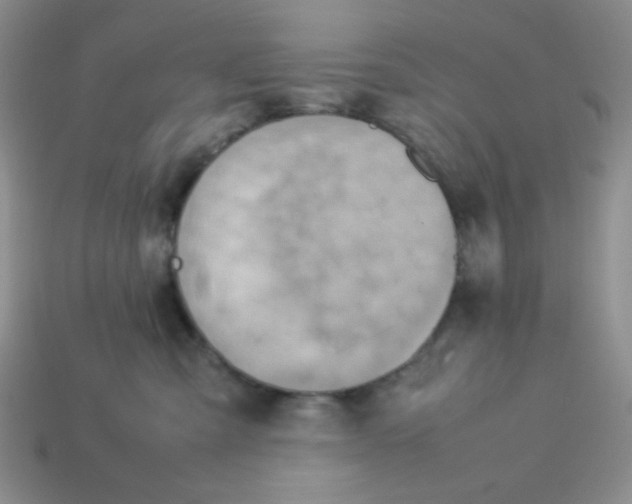 X0000113750427200910141030