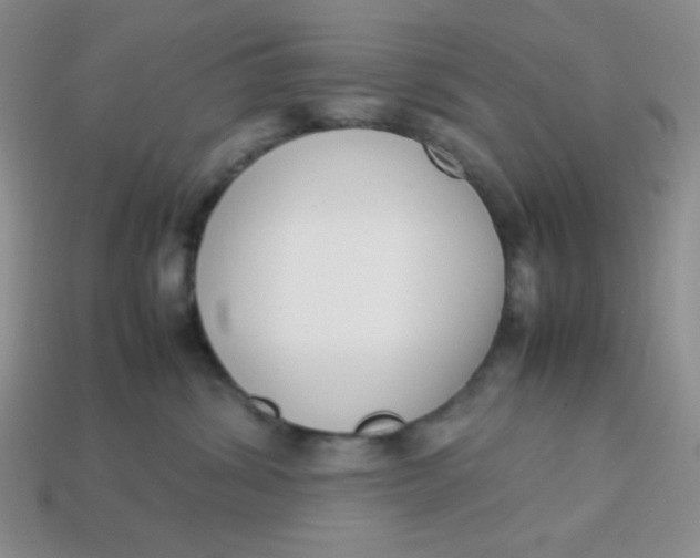 X0000113750428200910141030