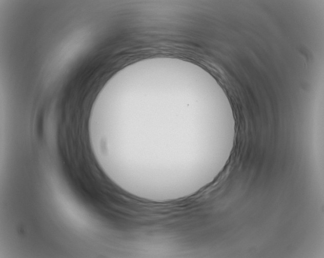 X0000113750429200910141030